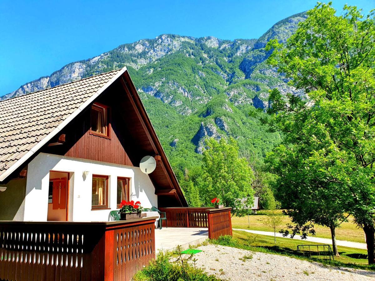 Bohinj Star Apartments Eksteriør billede